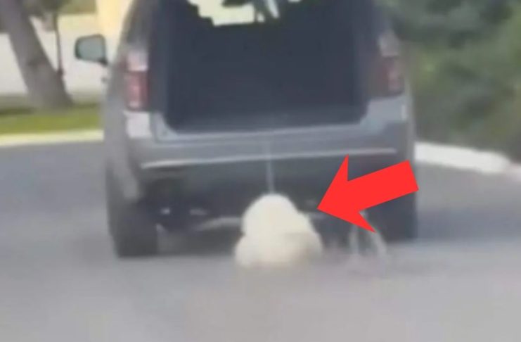 #VIDEO // Perrito fue arrastrado por camioneta en Saltillo; ya fue rescatado