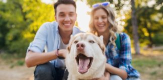 Día del Perro: Historia, ciencia y la lealtad inquebrantable del mejor amigo del ser humano