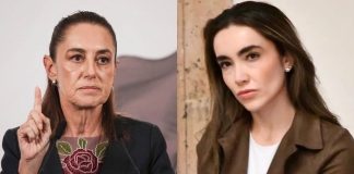 ¿Quién es Natalia Torres? La abogada que propusó que sólo las personas con estudios puedan votar en México