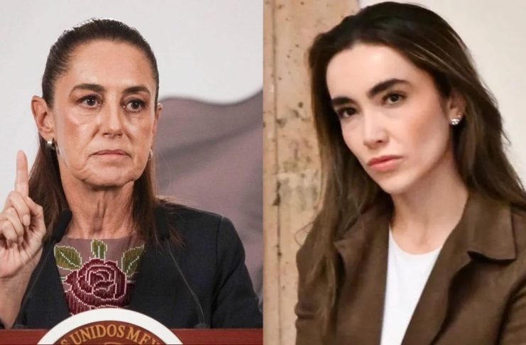 ¿Quién es Natalia Torres? La abogada que propusó que sólo las personas con estudios puedan votar en México