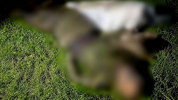 imagen destacada - 2026-07-24T133350.929