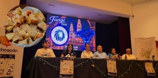 Piden regular aprovechamiento de hongos silvestres en Michoacán: Josué Hernández Garibay