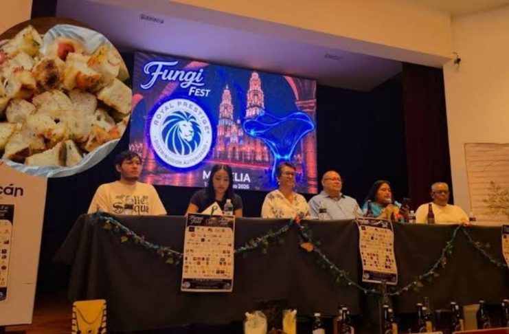 Piden regular aprovechamiento de hongos silvestres en Michoacán: Josué Hernández Garibay