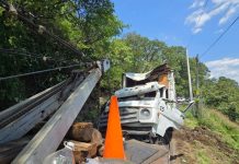Operador salta de camión sin frenos y sobrevive; la pesada unidad cae a barranca en Tacámbaro