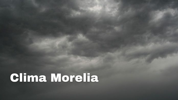 imagen destacada - 2026-07-28T143716.369