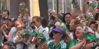 #VIDEO // Chihuahuas “invaden” la Embajada de Reino Unido en apoyo a la Selección Mexicana