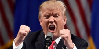 “Si tienes ADN masculino, tienes ADN masculino”: Trump vuelve a encender el debate sobre identidad de género