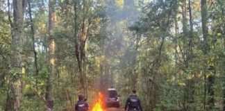 GC desmantela tres narcocampamentos en Salvador Escalante