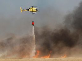 Fuertes incendios afectan a Europa por el calor intenso