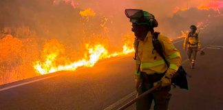 Al menos 12 muertos y varios desaparecidos en grave incendio en España