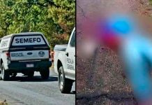 A balazos acribillan a un joven en Turicato
