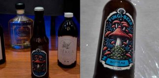 Presentan Fungi Beer, la cerveza artesanal con hongo reishi que debutará en el Fungi Fest