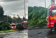 Lluvias colapsan vialidades y dejan encharcamientos e inundaciones en Morelia