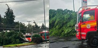 Lluvias colapsan vialidades y dejan encharcamientos e inundaciones en Morelia