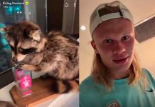 #VIDEO // Erling Haaland y el misterio de “Whiskey Raccoon”, el mapache que se volvió viral