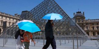 Europa alarmada: mueren en Francia 5700 personas por golpes de calor
