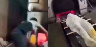 #VIDEO // Nieto salta presuntamente al horno crematorio con el cuerpo de su abuela en la India