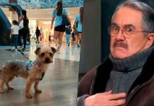 Cancelan a Pedro Sola por decir que le dan ganas de envenenar a los perros