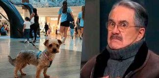 Cancelan a Pedro Sola por decir que le dan ganas de envenenar a los perros