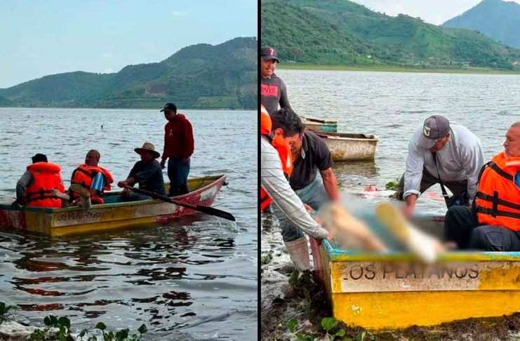 Pescador muere ahogado en la Presa del Bosque, Zitácuaro
