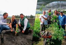 Buen Gobierno impulsa programa “Zamora Respira” con donación de árboles