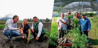 Buen Gobierno impulsa programa “Zamora Respira” con donación de árboles
