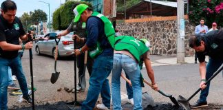 Urge reforzar brigadas para atender los baches en Morelia: PVEM