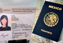 ¿Te robaron el INE o pasaporte en vacaciones? Conoce paso a paso cómo recuperarlos