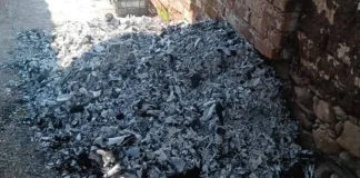 Autoridades afirman que los restos localizados por un colectivo en Ayutla son de animales