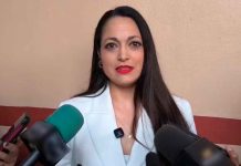 No sólo palabras, también narrativa se analizó para sanción en contra de Fernández Noroña: TEEMich