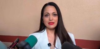 No sólo palabras, también narrativa se analizó para sanción en contra de Fernández Noroña: TEEMich