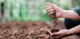 ¿Qué tipos de suelo existen y por qué la rotación de cultivos es clave para conservarlos?