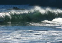 Cancela Marina alerta de tsunami para el Pacífico mexicano tras sismo de 7.4 en Chiapas