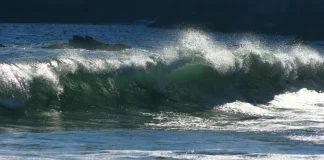 Cancela Marina alerta de tsunami para el Pacífico mexicano tras sismo de 7.4 en Chiapas