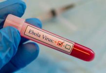 La OMS busca una vacuna contra el ébola con ayuda internacional