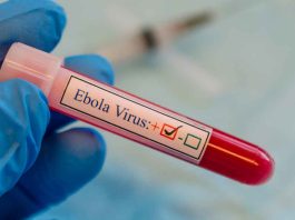 La OMS busca una vacuna contra el ébola con ayuda internacional