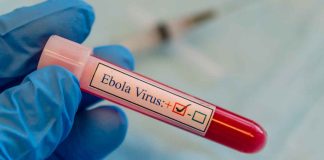 La OMS busca una vacuna contra el ébola con ayuda internacional