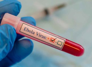 La OMS busca una vacuna contra el ébola con ayuda internacional