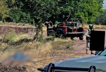 Hallan a una mujer as3sinada a bal4zos en carretera de Buenavista
