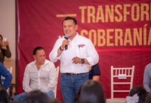 Crecimiento económico confirma que México avanza con bienestar: Torres Piña