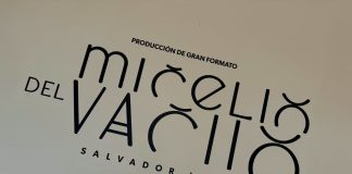 Inaugura Secum Micelio del vacío en el Centro Cultural Clavijero