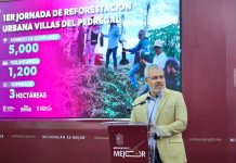 Arbolado de Tres Puentes se conserva; solo 27 ejemplares serán trasplantados: Bedolla