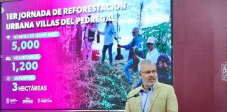 Arbolado de Tres Puentes se conserva; solo 27 ejemplares serán trasplantados: Bedolla