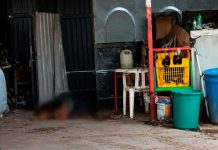 A balazos matan a “El Chacharras” en Apatzingán