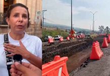 Sin acuerdos concluye mesa por retiro de 613 árboles para el Morebús en Morelia