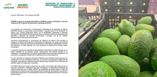 APEAM reconoce respaldo de Sheinbaum y pide reactivar exportación de aguacate
