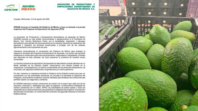 APEAM-reconoce-respaldo-de-Sheinbaum