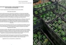 Gobierno de EE. UU. suspende sus actividades en Michoacán; APEAM reporta afectación directa