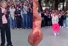 #VIDEO // Abuela sorprende al sumarse a “batalla de aura” contra un dinosaurio en Salta, Argentina