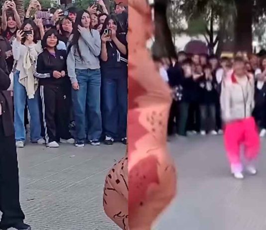 #VIDEO // Abuela sorprende al sumarse a “batalla de aura” contra un dinosaurio en Salta, Argentina